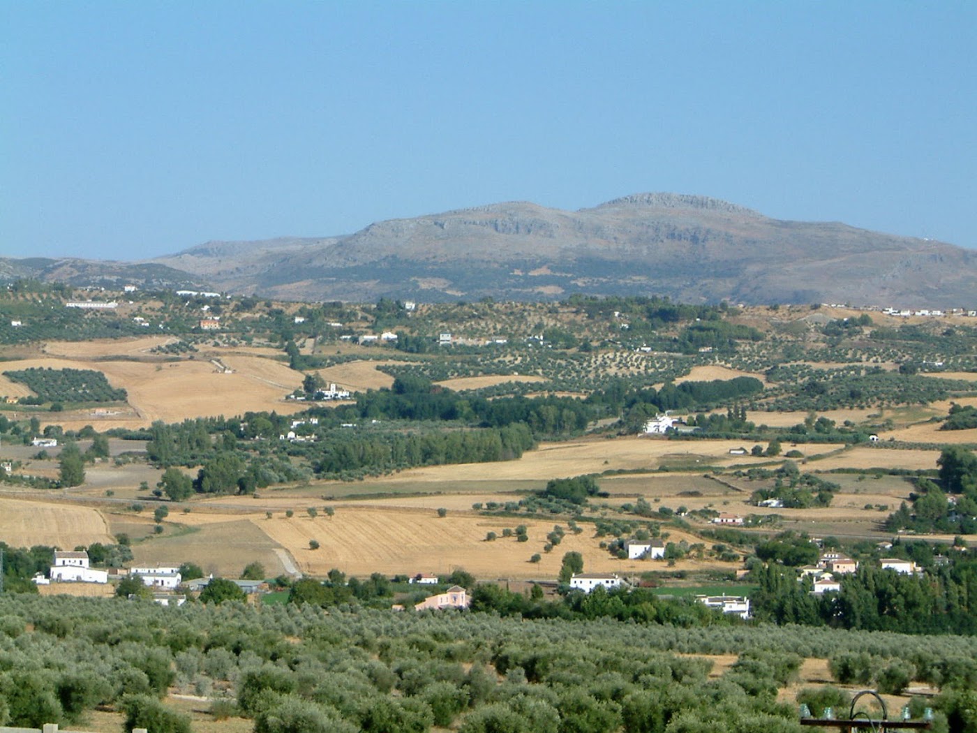 Hotel Boutique Molino del Arco, dog-friendly hotel, photo 2