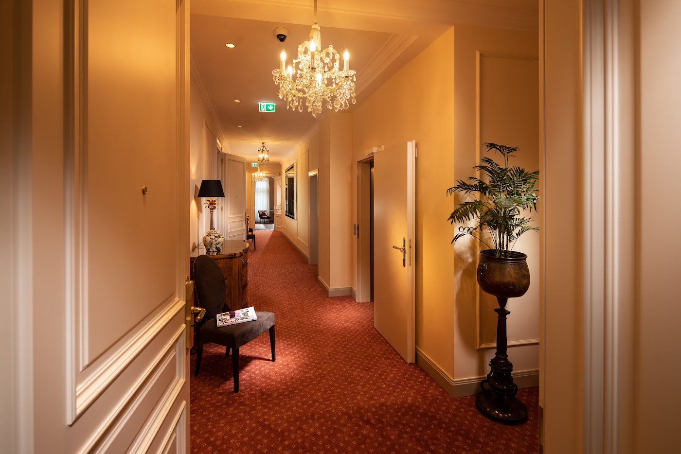 Hotel Bristol Salzburg, dog-friendly hotel, photo 4