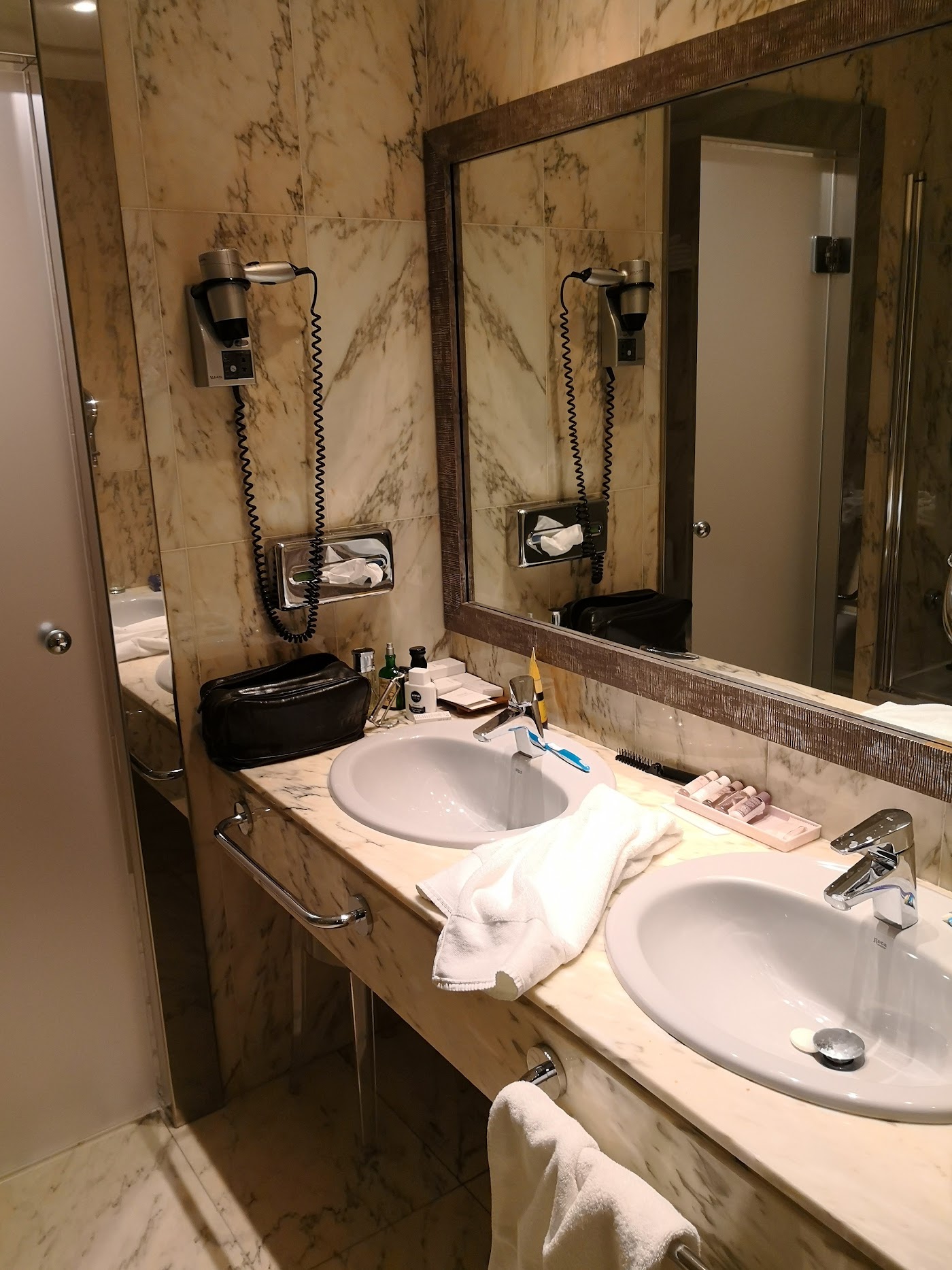 Hotel Carlton, dog-friendly hotel, photo 4