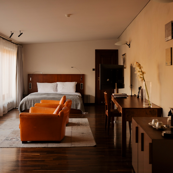 Hotel Copernicus, dog-friendly hotel, photo 2