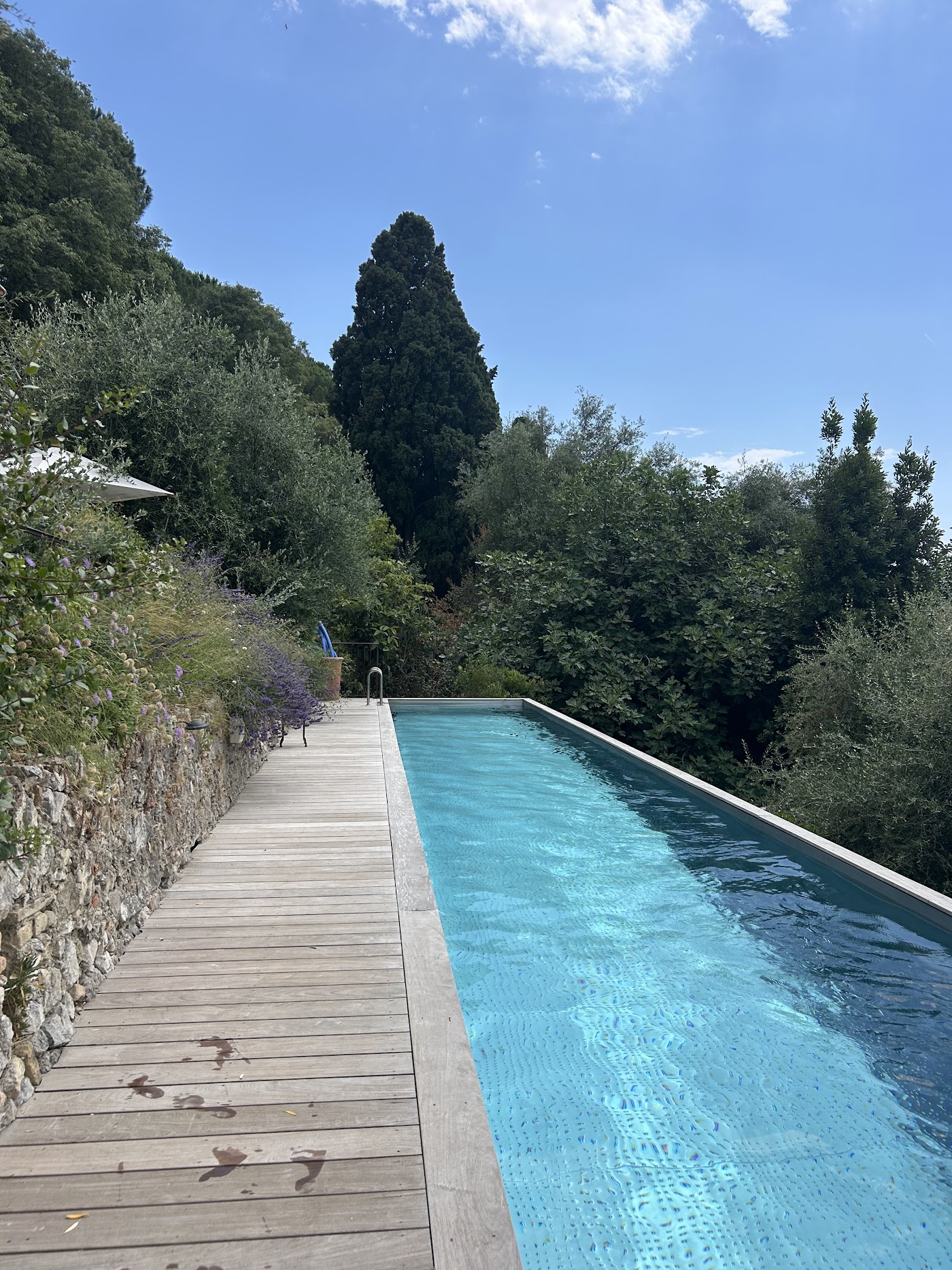 Hôtel du Couvent, a Luxury Collection Hotel, Nice, dog-friendly hotel, photo 4