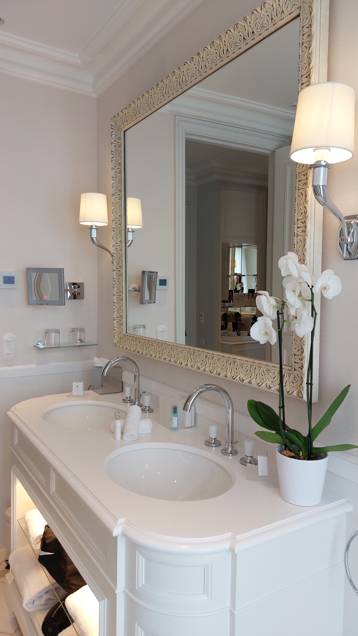 Hôtel du Palais Biarritz, The Unbound Collection by Hyatt, dog-friendly hotel, photo 5