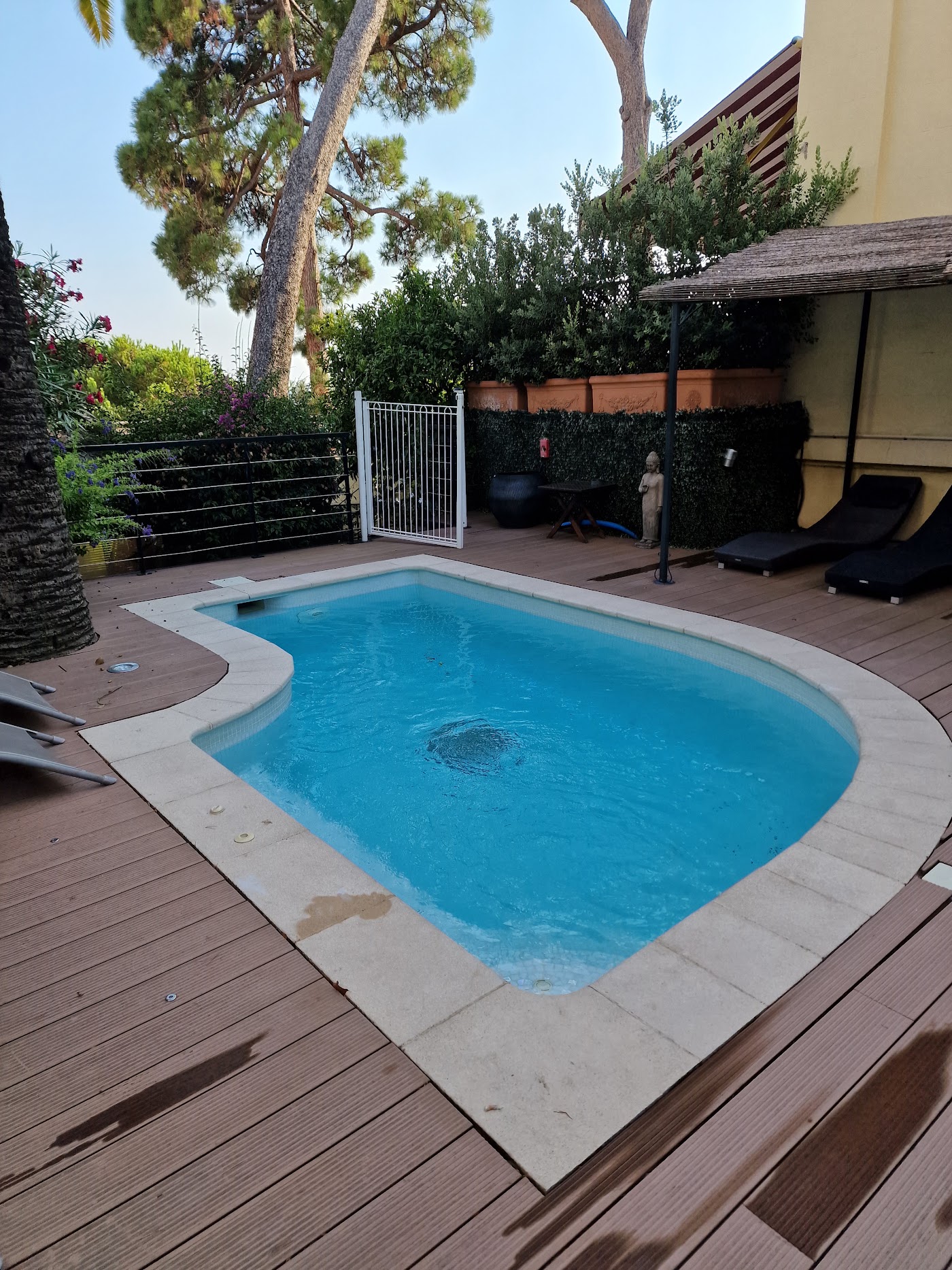 Hôtel du Petit Palais, dog-friendly hotel, photo 4