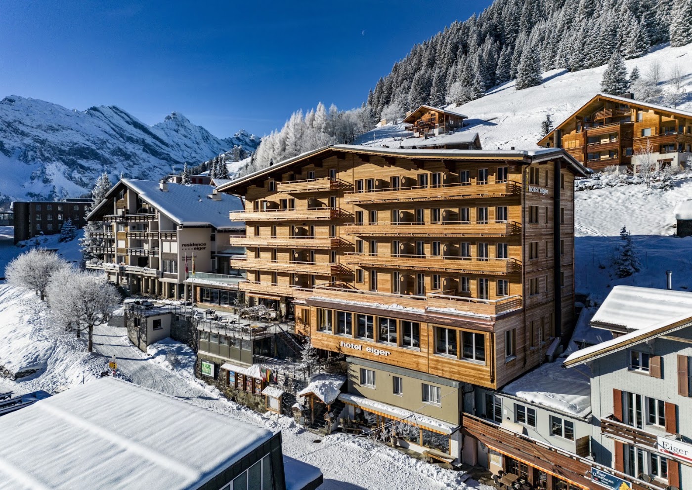 Hotel Eiger Mürren, dog-friendly hotel, photo 2