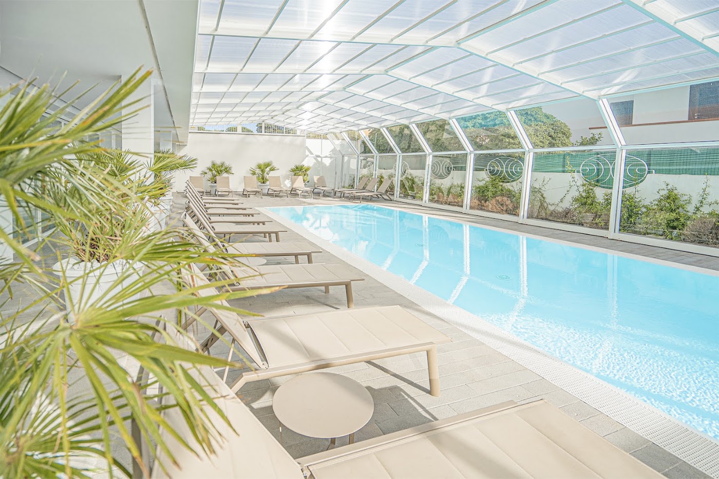 Hotel Felix Olbia, dog-friendly hotel, photo 4