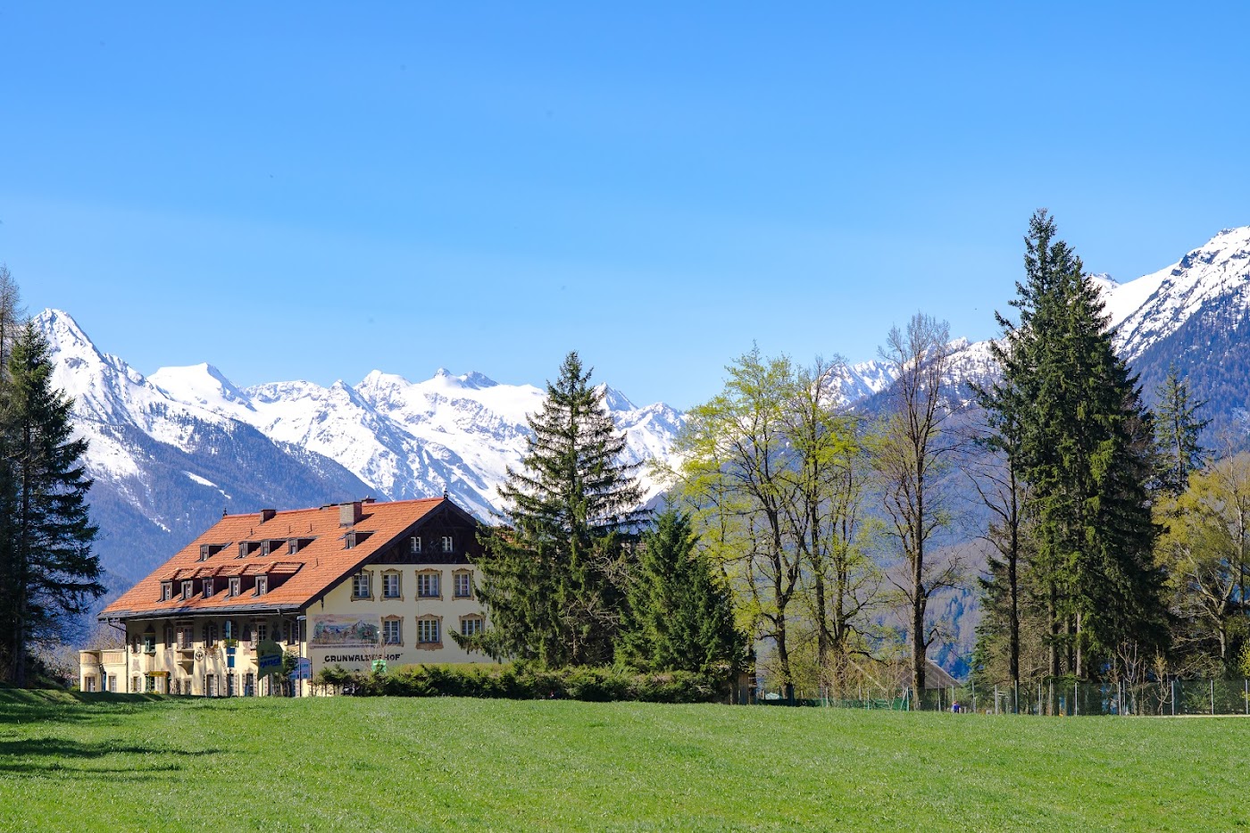 Hotel Grünwalderhof, dog-friendly hotel, photo 4