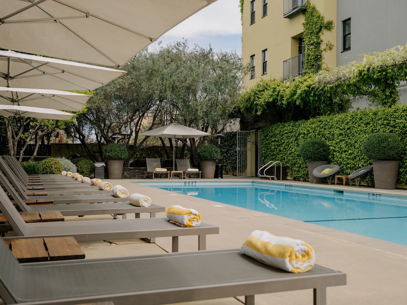 Hotel Healdsburg, dog-friendly hotel, photo 3