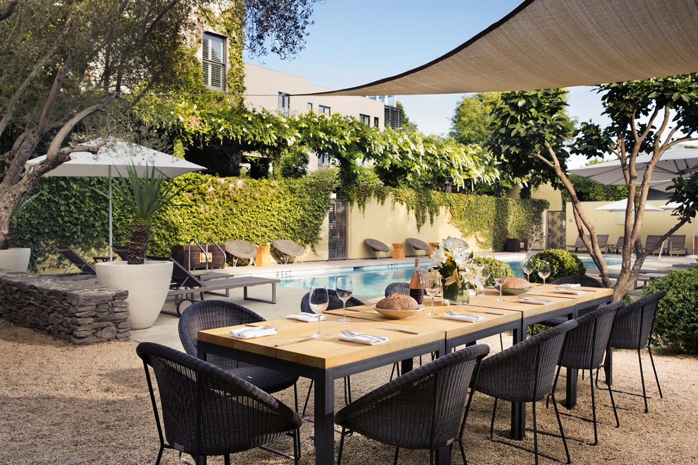 Hotel Healdsburg, dog-friendly hotel, photo 4