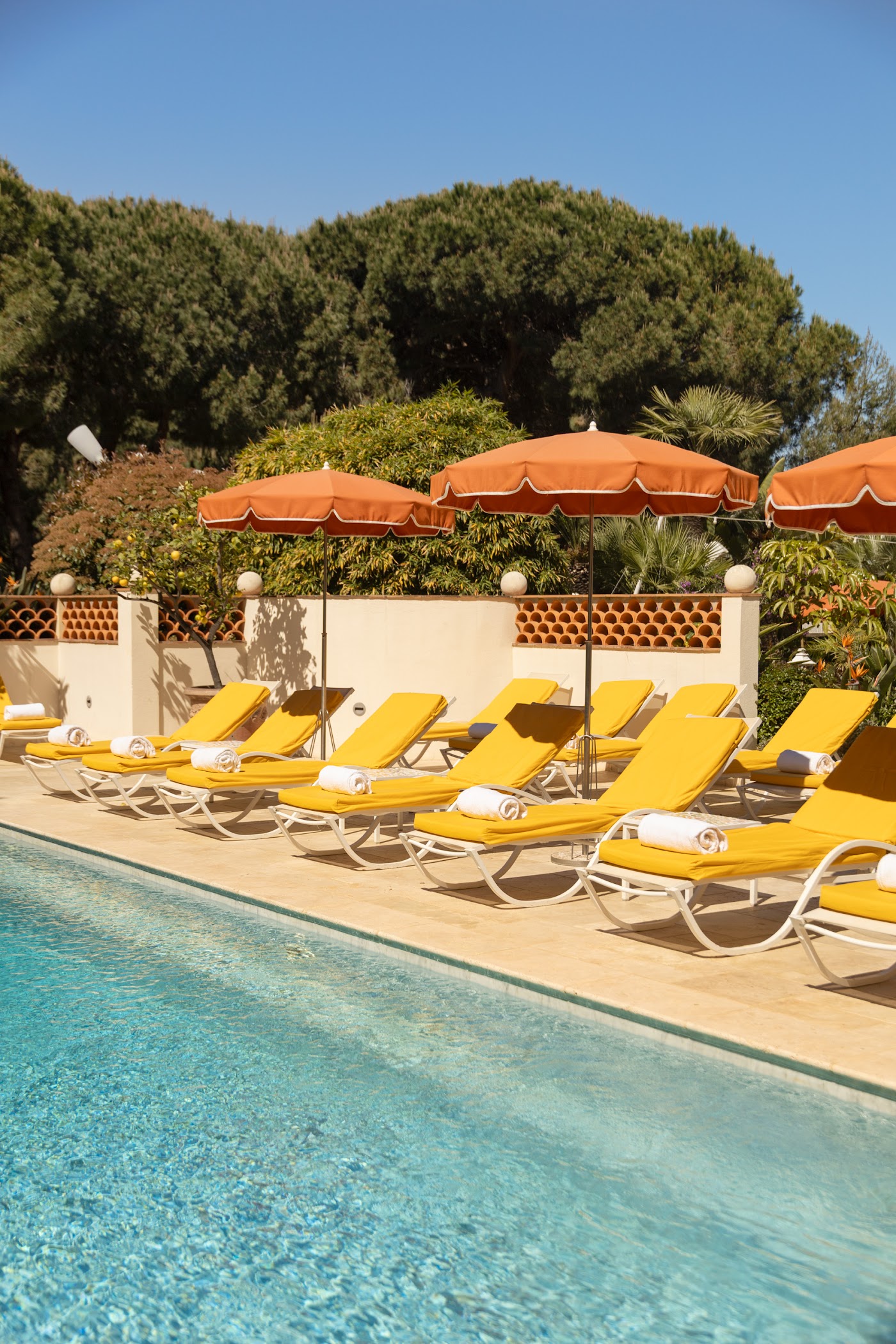 Hôtel Juana, dog-friendly hotel, photo 4