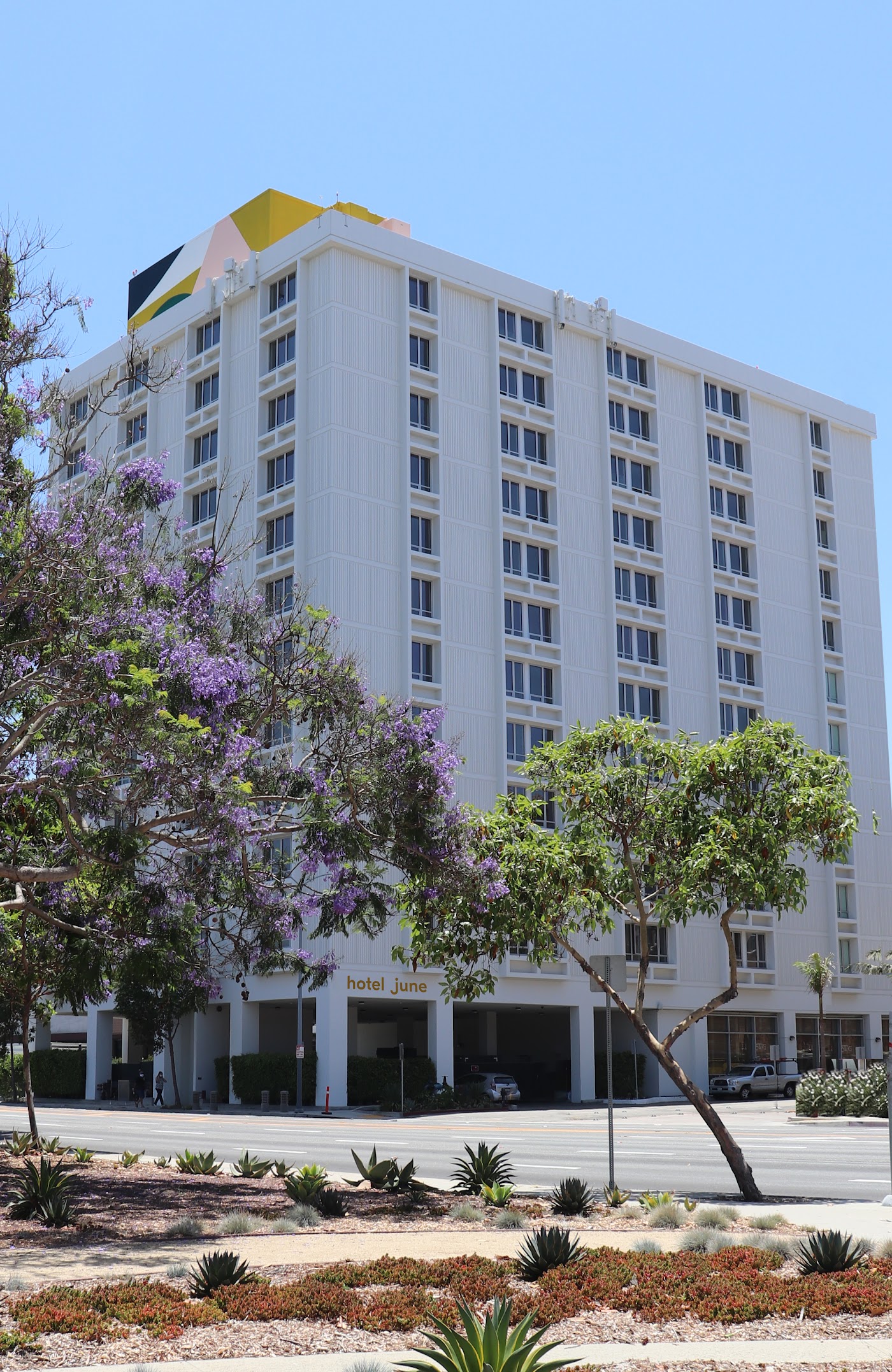Hotel June West LA, dog-friendly hotel, photo 2