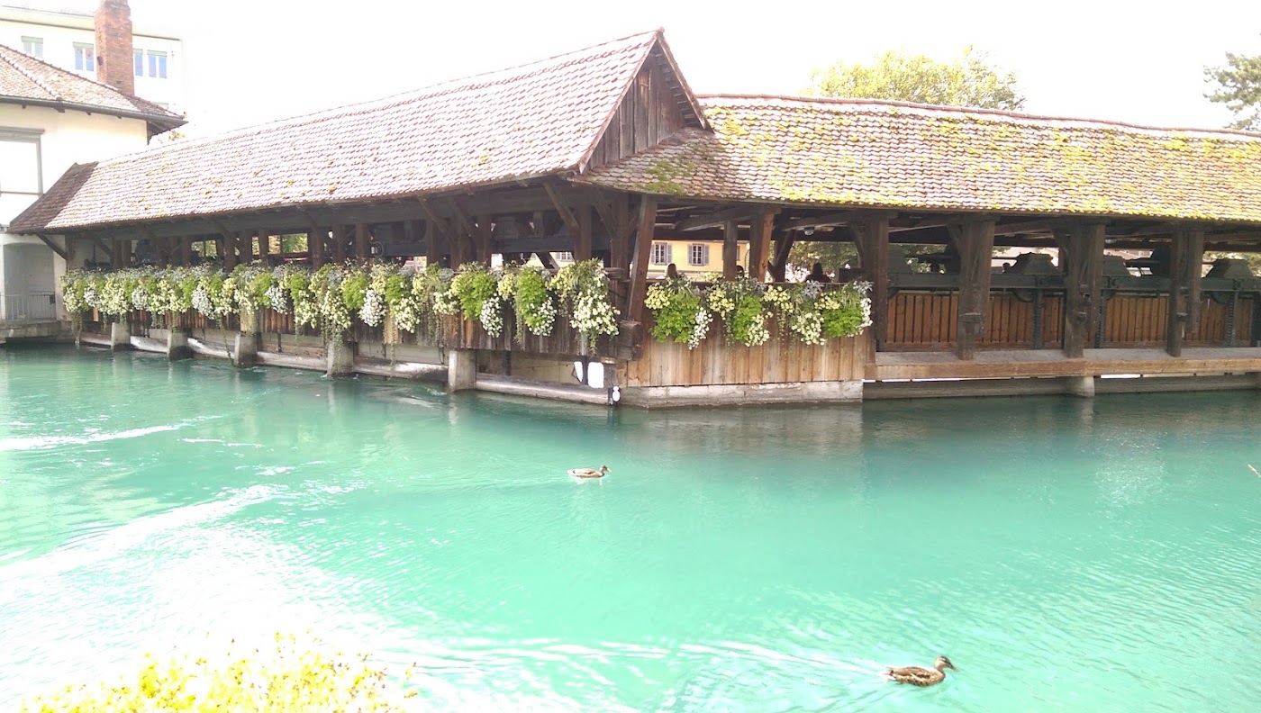 Hotel Krone Thun, dog-friendly hotel, photo 4