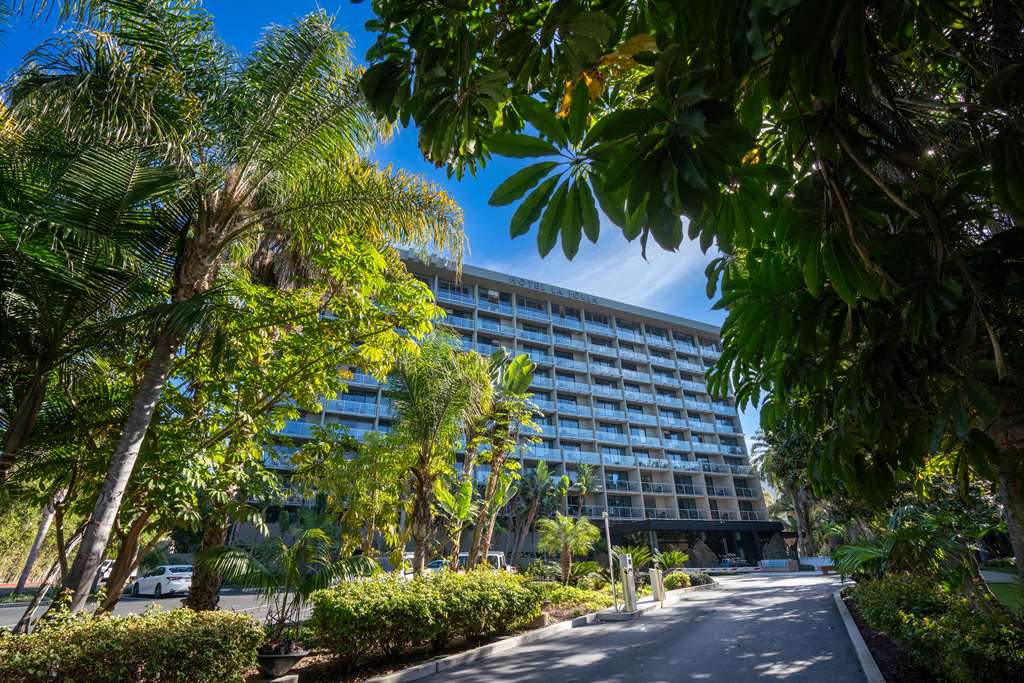 Hotel La Jolla, Curio Collection by Hilton, dog-friendly hotel in San Diego