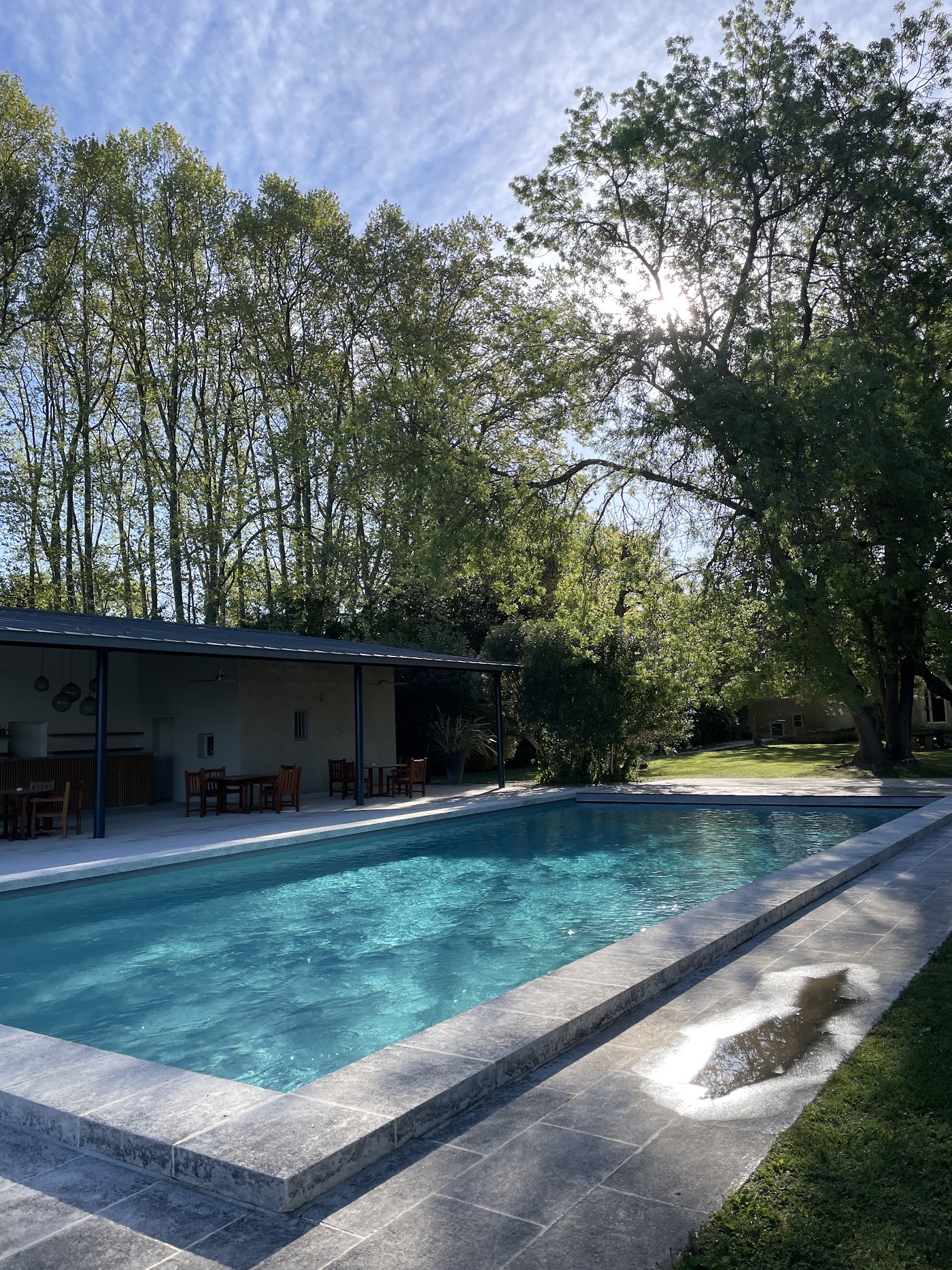 Hôtel Le Château des Alpilles, dog-friendly hotel, photo 4