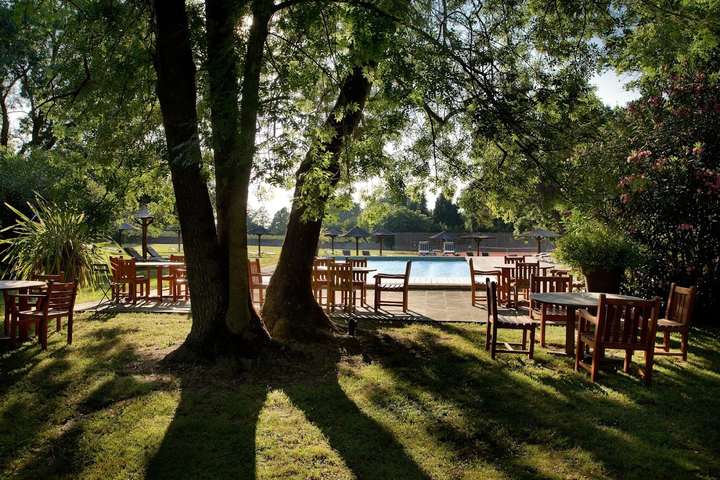Hôtel Le Château des Alpilles, dog-friendly hotel, photo 5
