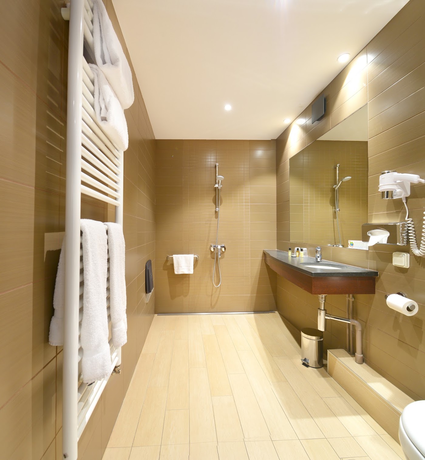 Hôtel Le Roosevelt, dog-friendly hotel, photo 3