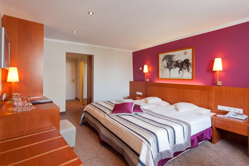 Hotel Lindauer Hof, dog-friendly hotel, photo 5