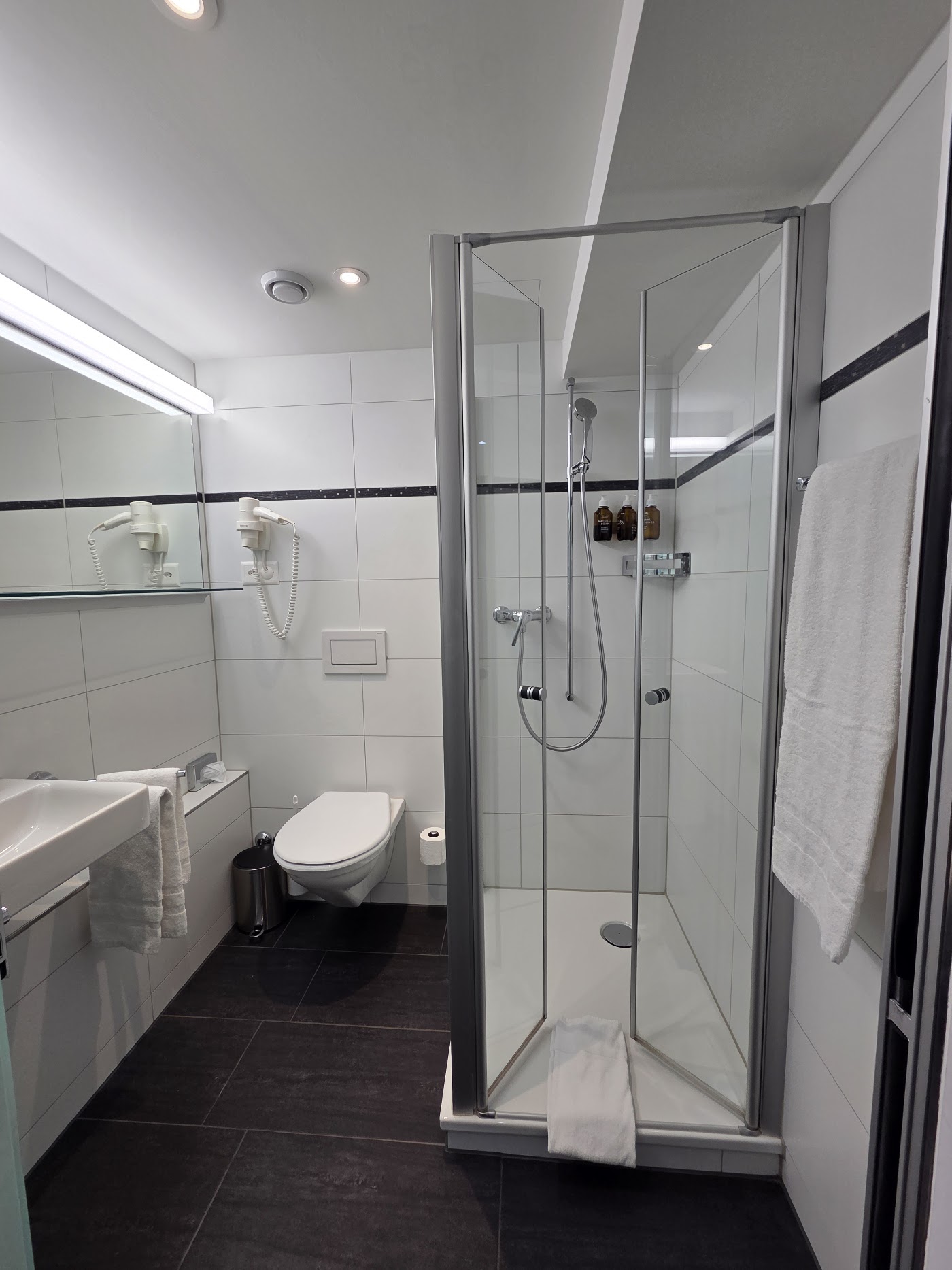 Hotel Luzernerhof, dog-friendly hotel, photo 4