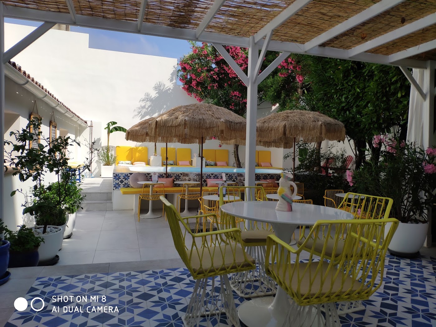 Hôtel Mademoiselle, dog-friendly hotel, photo 2