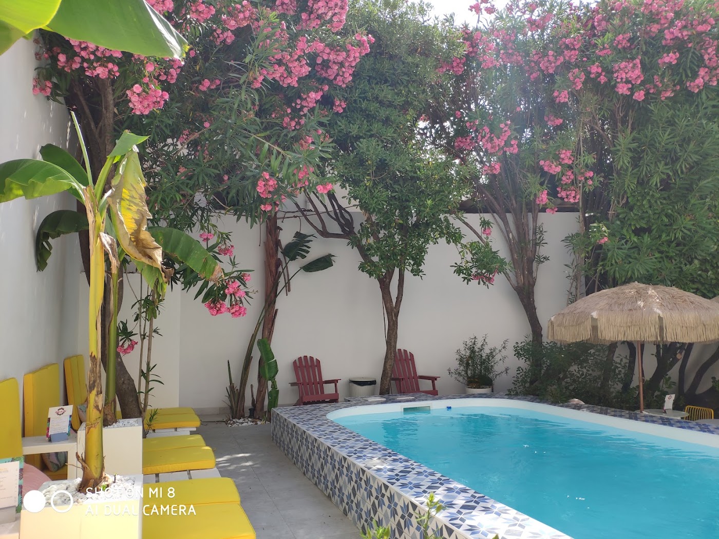 Hôtel Mademoiselle, dog-friendly hotel, photo 4