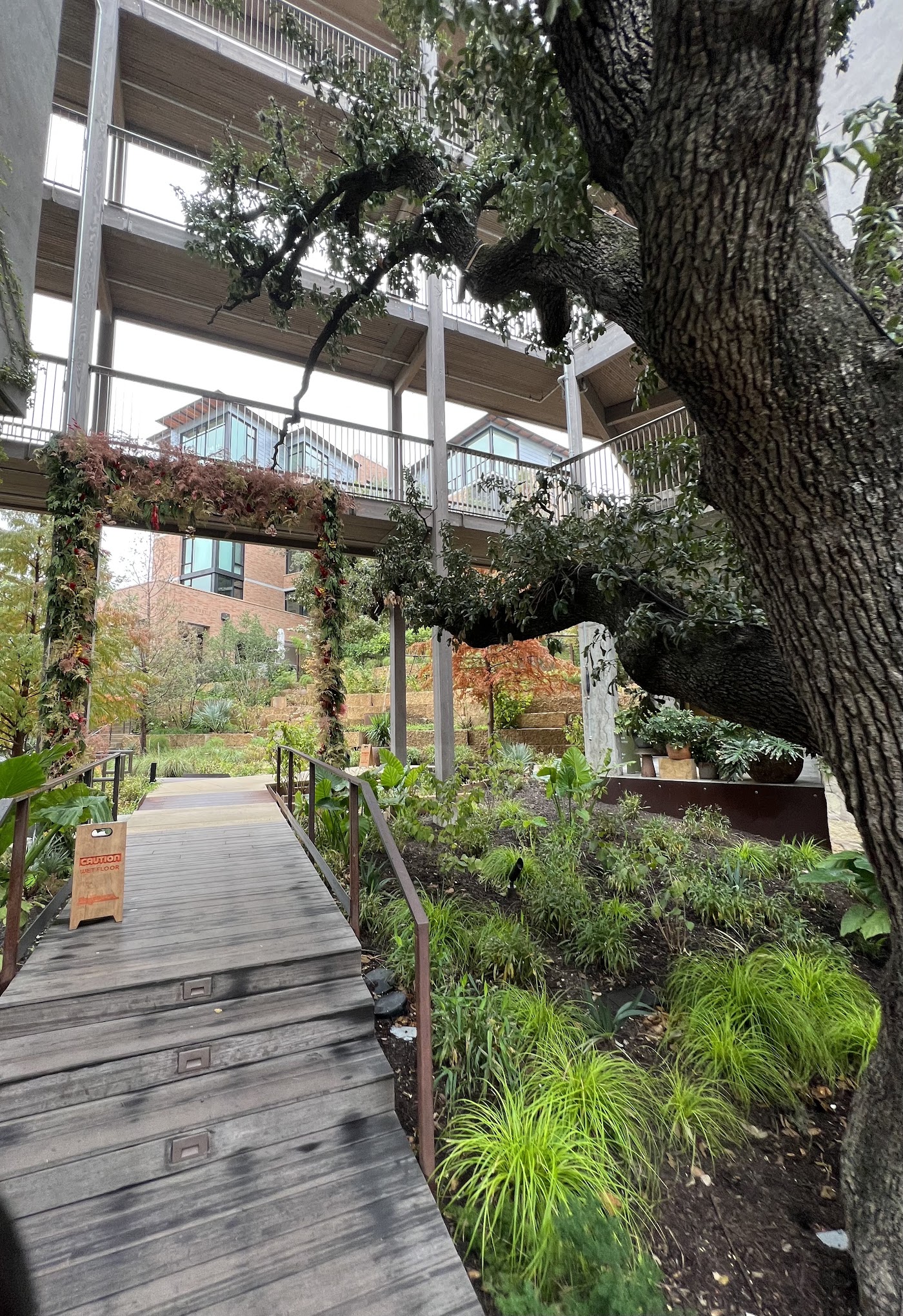 Hotel Magdalena, dog-friendly hotel in Austin