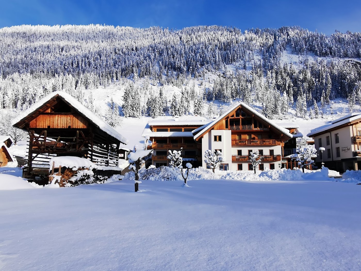 Hotel Moser am Weissensee, dog-friendly hotel, photo 5