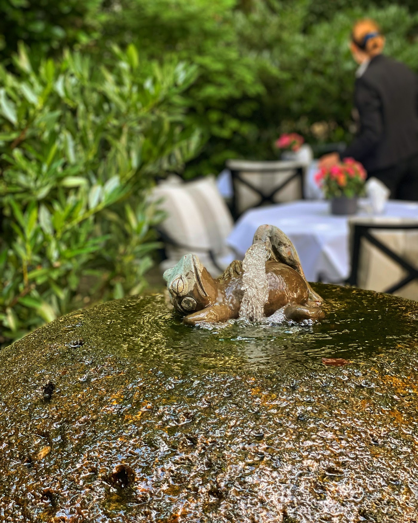 Hotel München Palace, dog-friendly hotel, photo 4