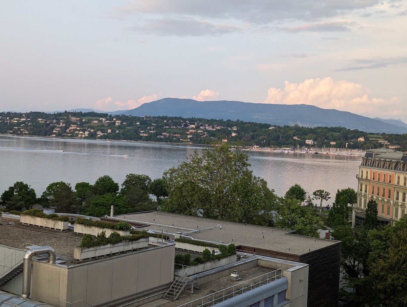 Hotel N'vY Manotel, dog-friendly hotel, photo 2
