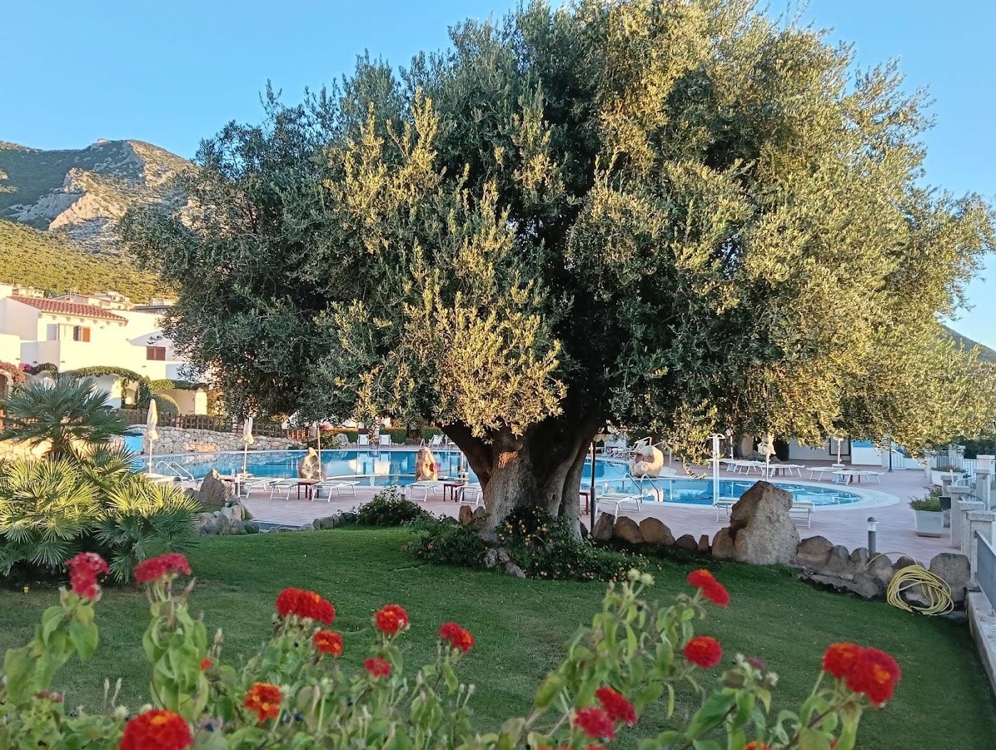 Hotel Nuraghe Arvu, dog-friendly hotel, photo 5