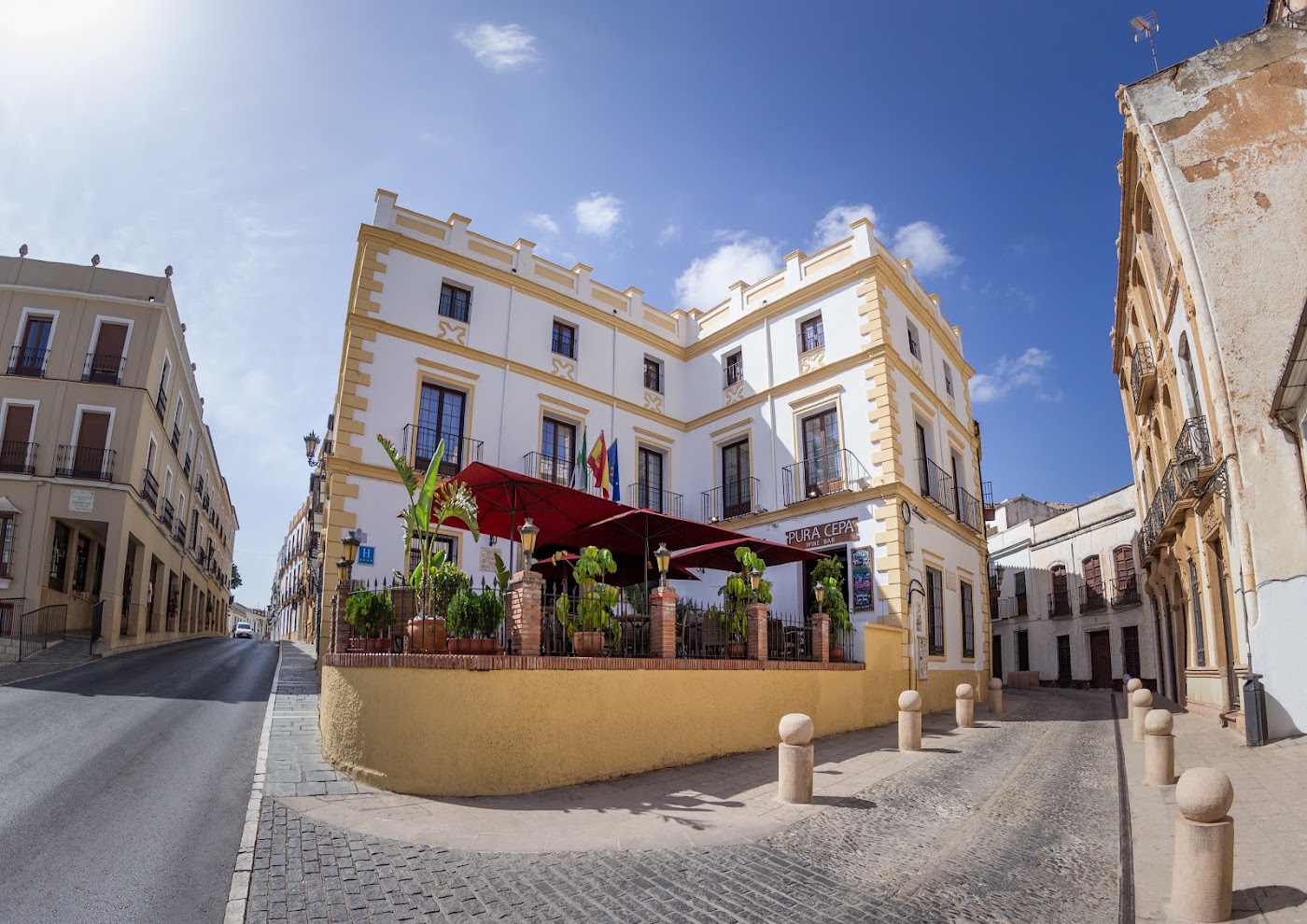 Hotel Palacio de Hemingway, dog-friendly hotel, photo 2