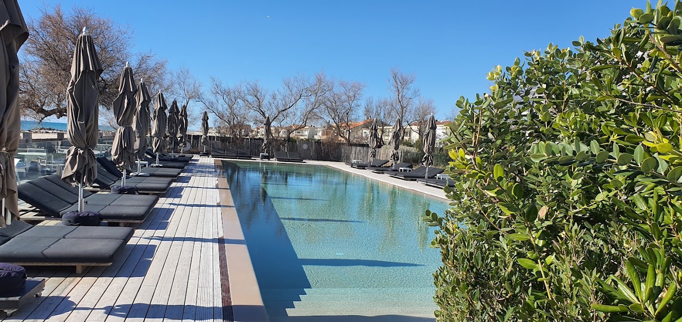 Hôtel Plage Palace & Spa, dog-friendly hotel, photo 4