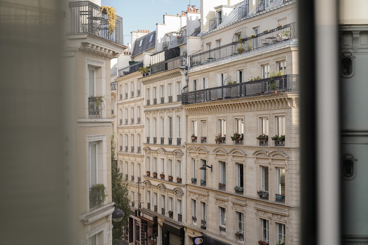 Hotel Pulitzer Paris, dog-friendly hotel, photo 2
