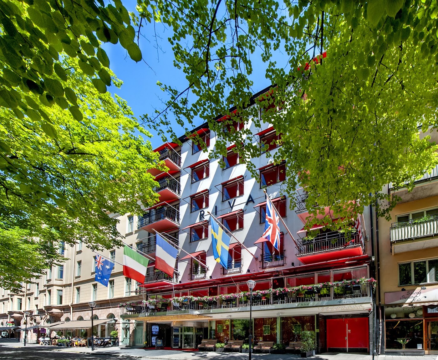 Hotel Rival, dog-friendly hotel, photo 5