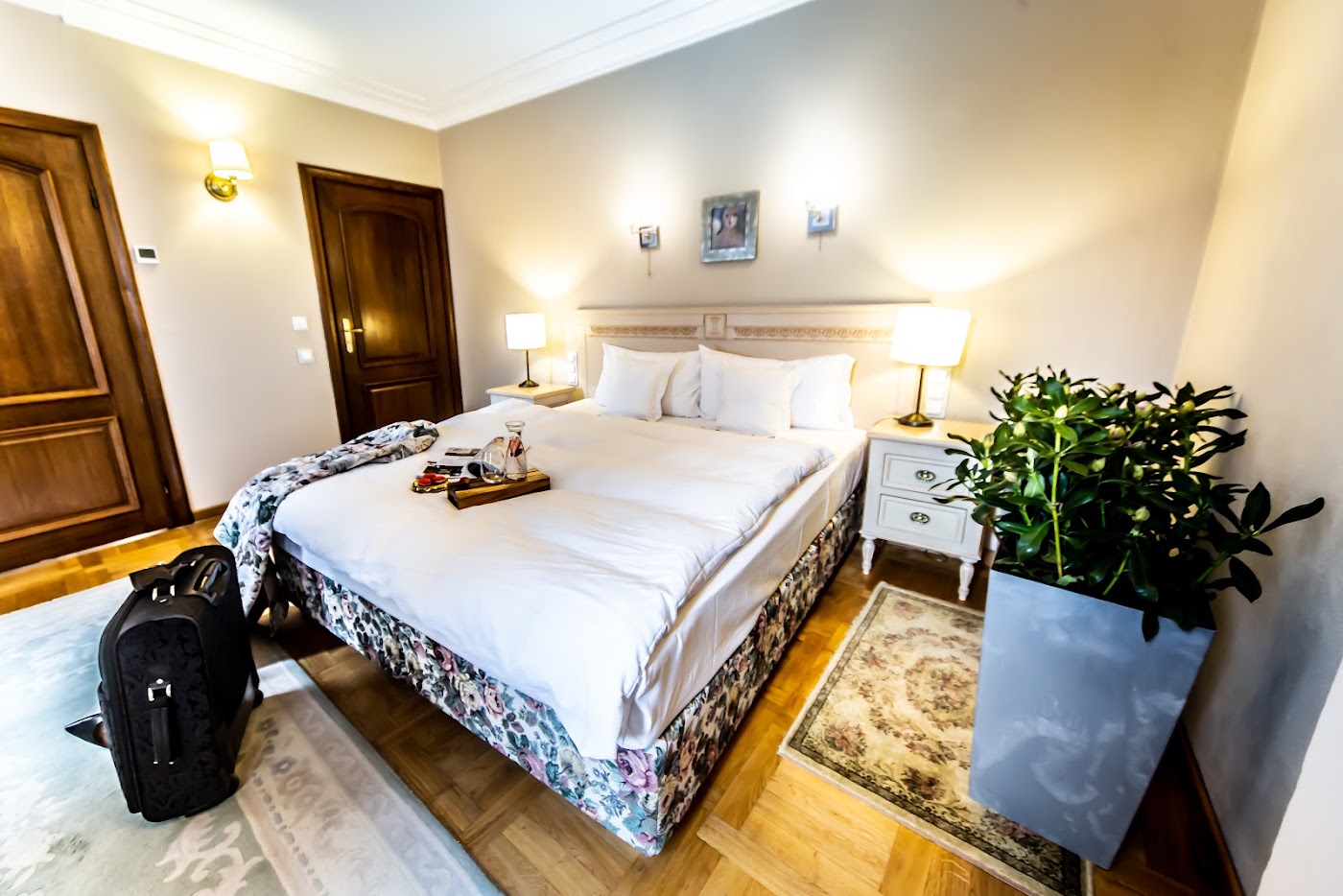 Hotel Rubinstein, dog-friendly hotel, photo 3