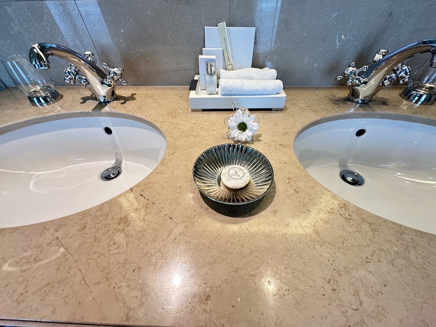 Hotel Sacher Wien, dog-friendly hotel, photo 3