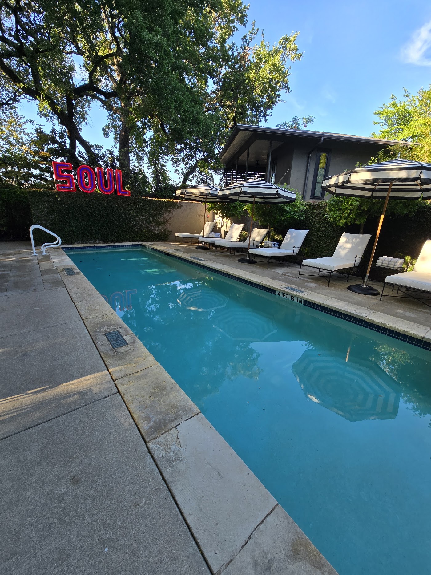 Hotel Saint Cecilia, dog-friendly hotel, photo 3