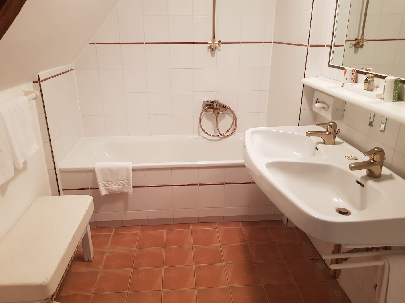 Hotel Schloss Leonstain, dog-friendly hotel, photo 4
