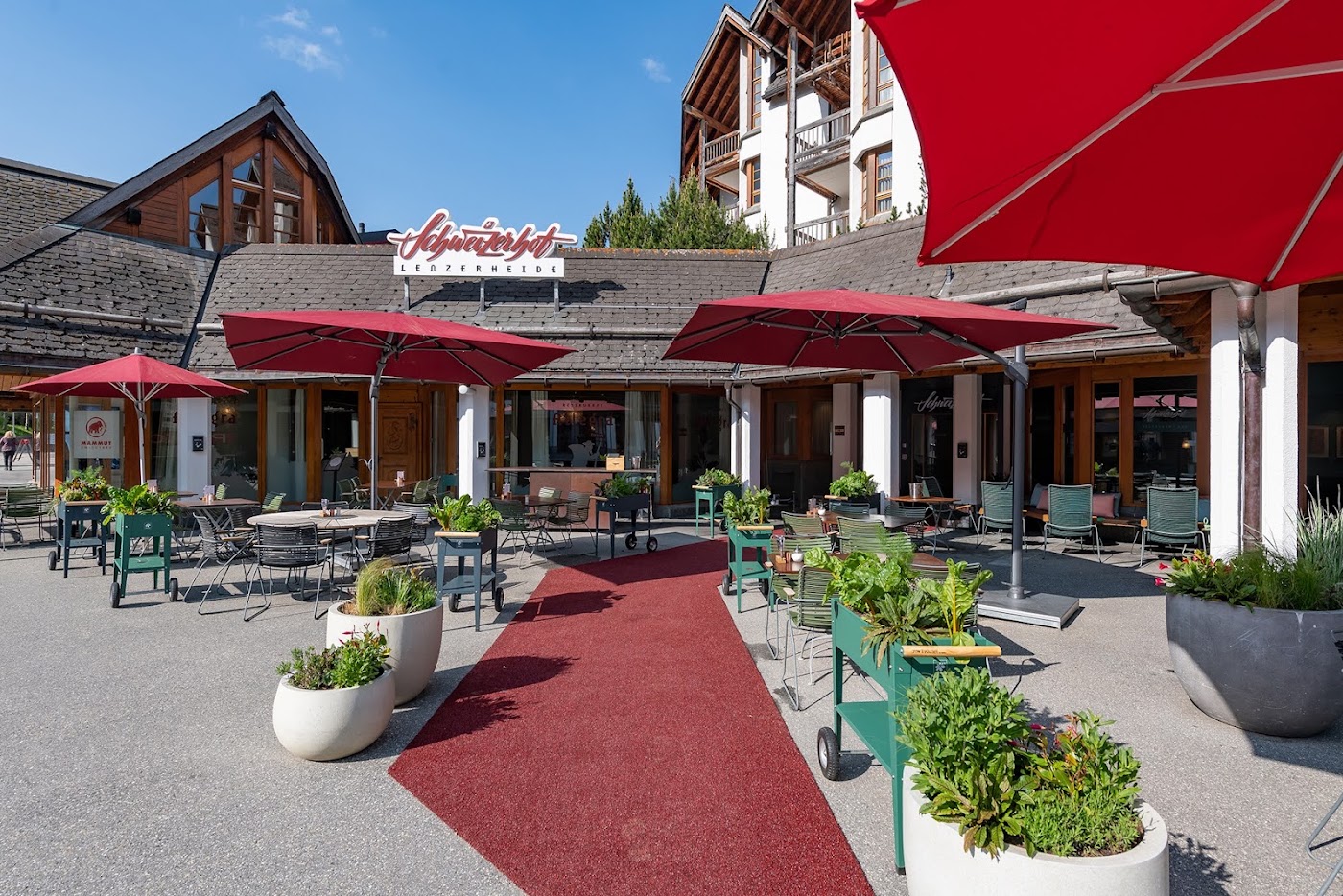 Hotel Schweizerhof Lenzerheide, dog-friendly hotel, photo 2