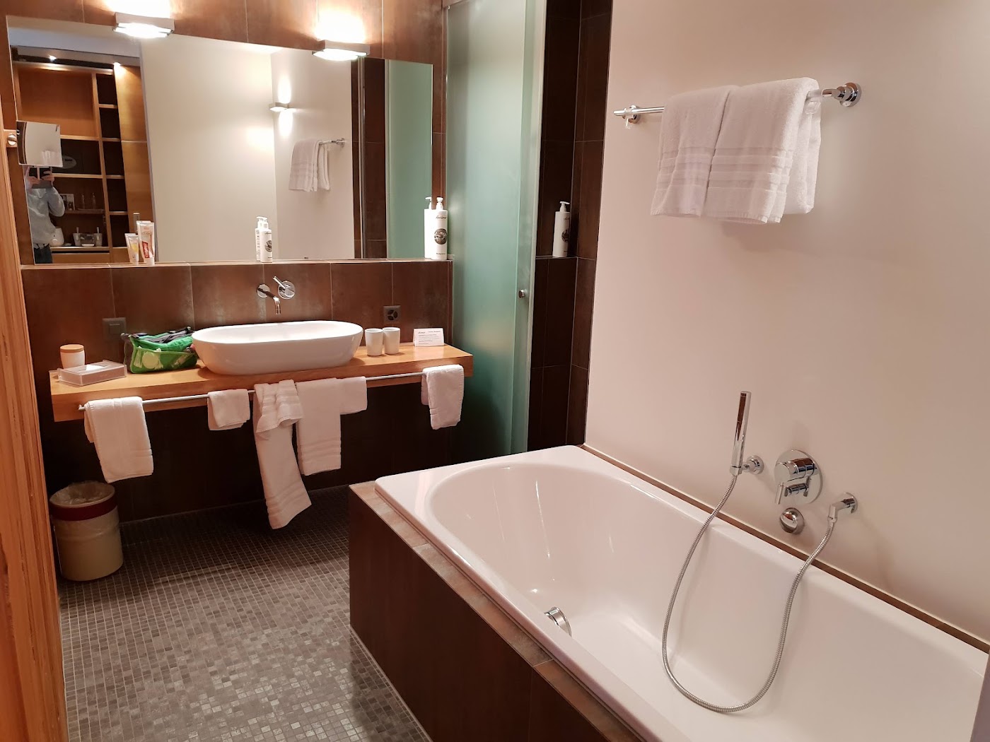 Hotel Schweizerhof Lenzerheide, dog-friendly hotel, photo 5