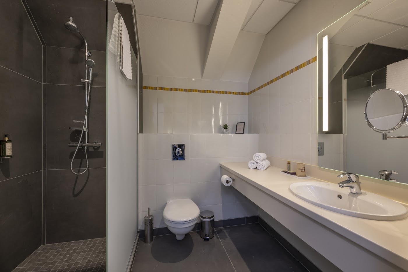 Hôtel Val-Vignes Colmar Haut-Koenigsbourg, dog-friendly hotel, photo 4
