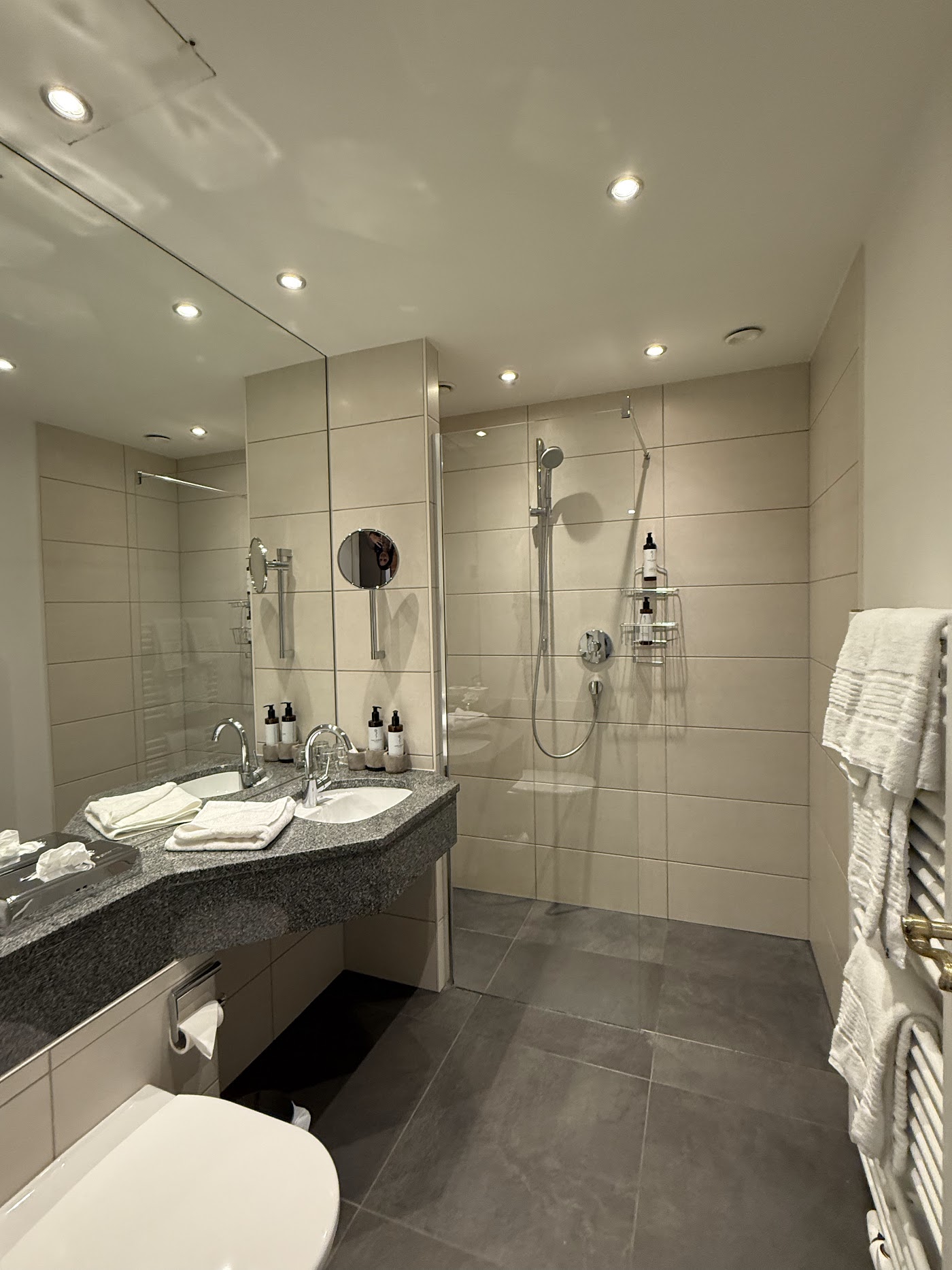 Hotel Villa Carlton, dog-friendly hotel, photo 3