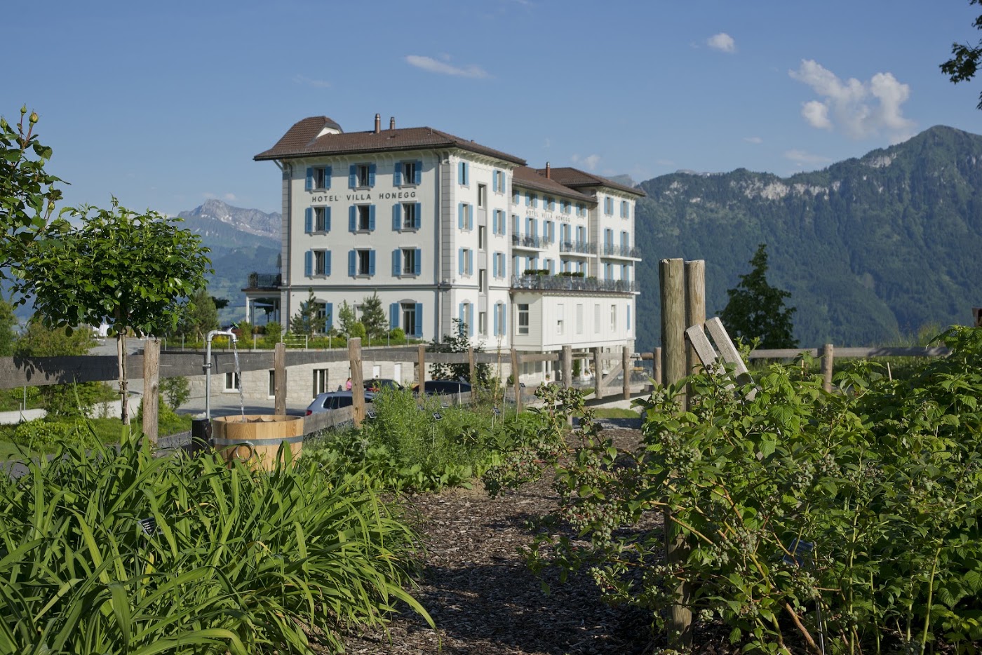 Hotel Villa Honegg, dog-friendly hotel, photo 2