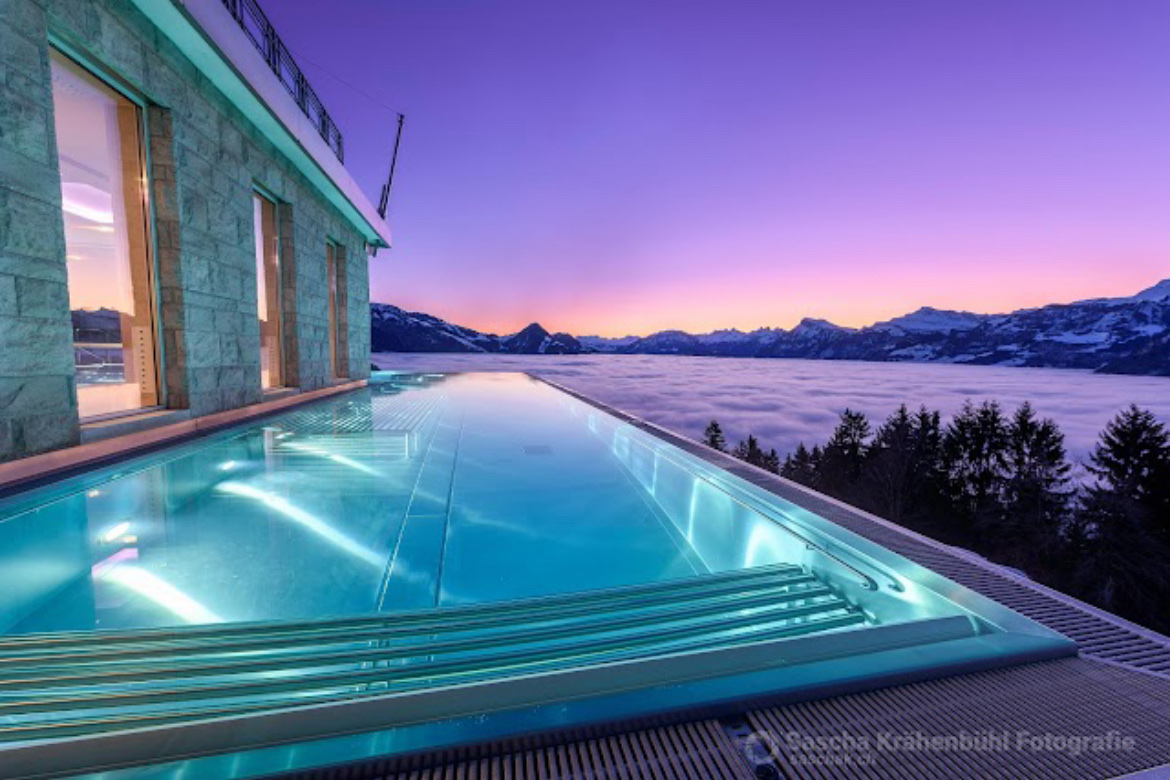 Hotel Villa Honegg, dog-friendly hotel, photo 4