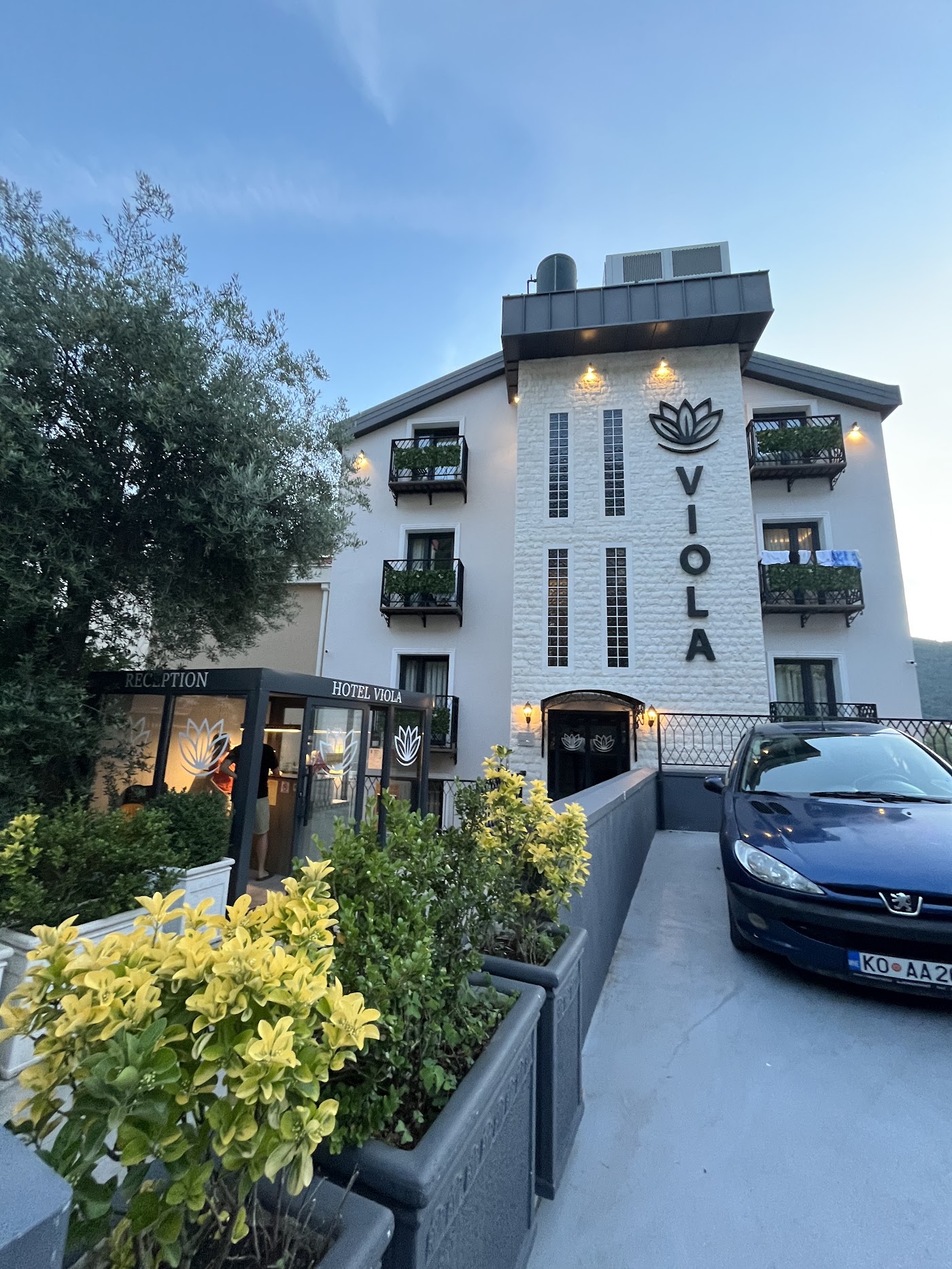 Hotel Viola, dog-friendly hotel, photo 5
