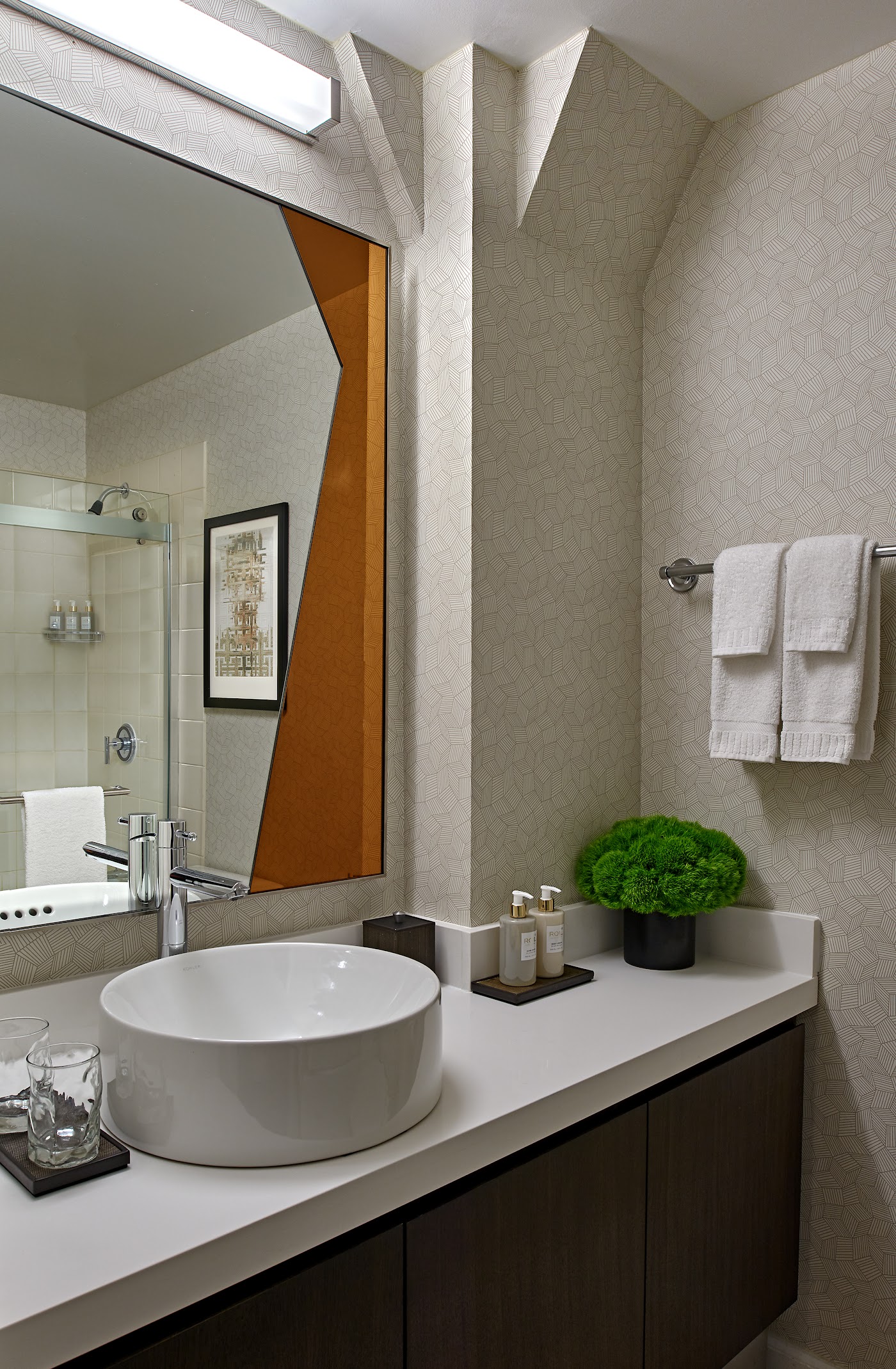 Hotel Zelos San Francisco, dog-friendly hotel, photo 4