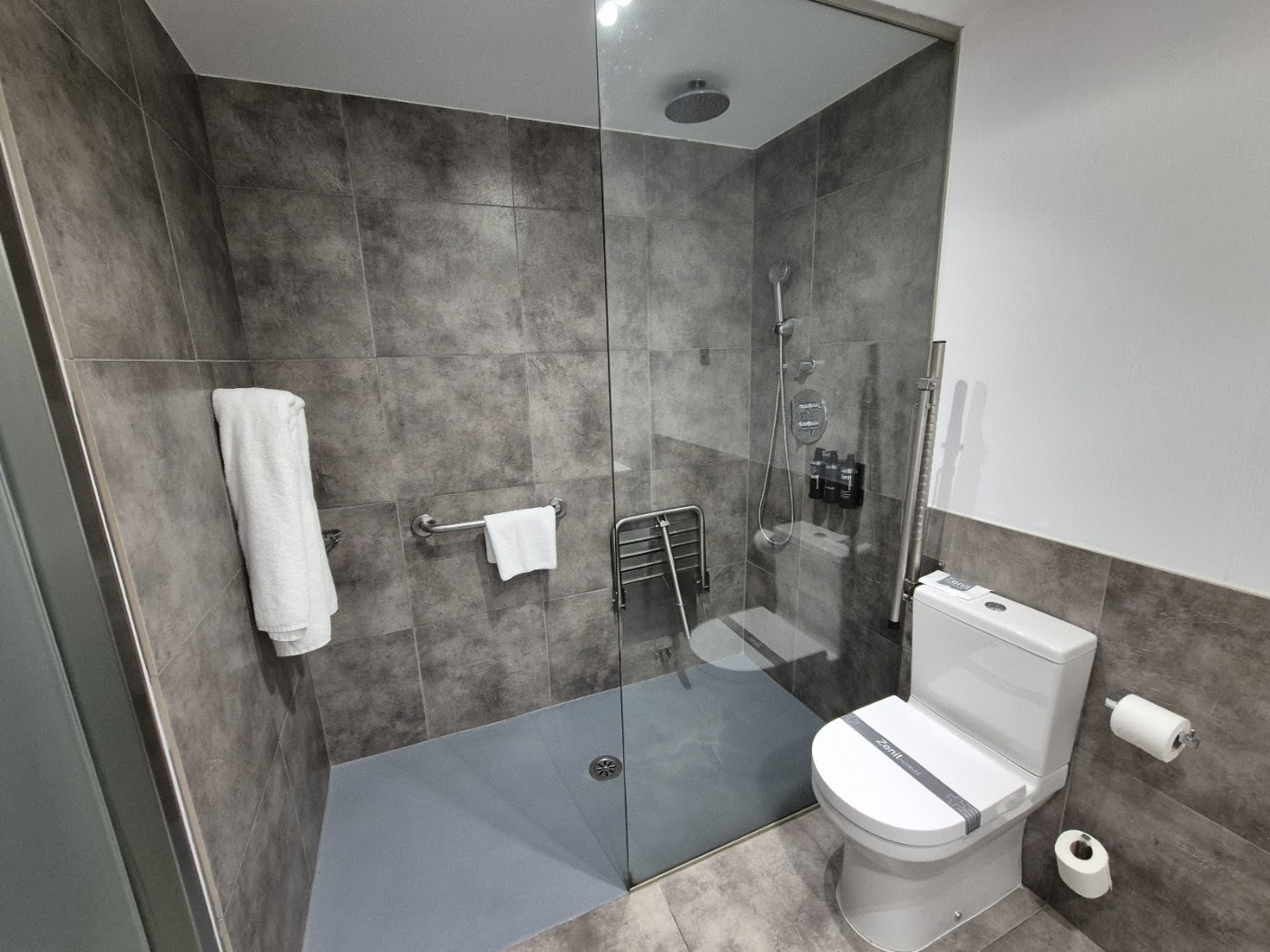 Hotel Zenit Vigo, dog-friendly hotel, photo 4
