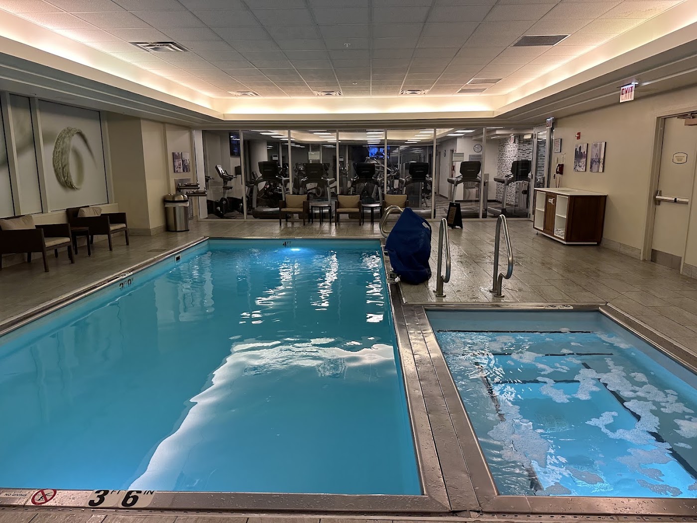 Hyatt Centric Chicago Magnificent Mile, dog-friendly hotel, photo 4