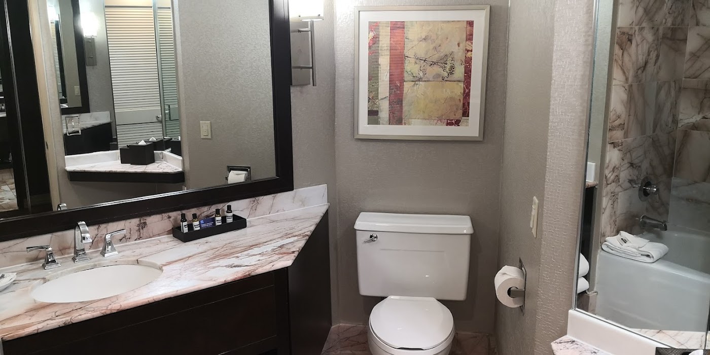 Hyatt Palm Springs, dog-friendly hotel, photo 5