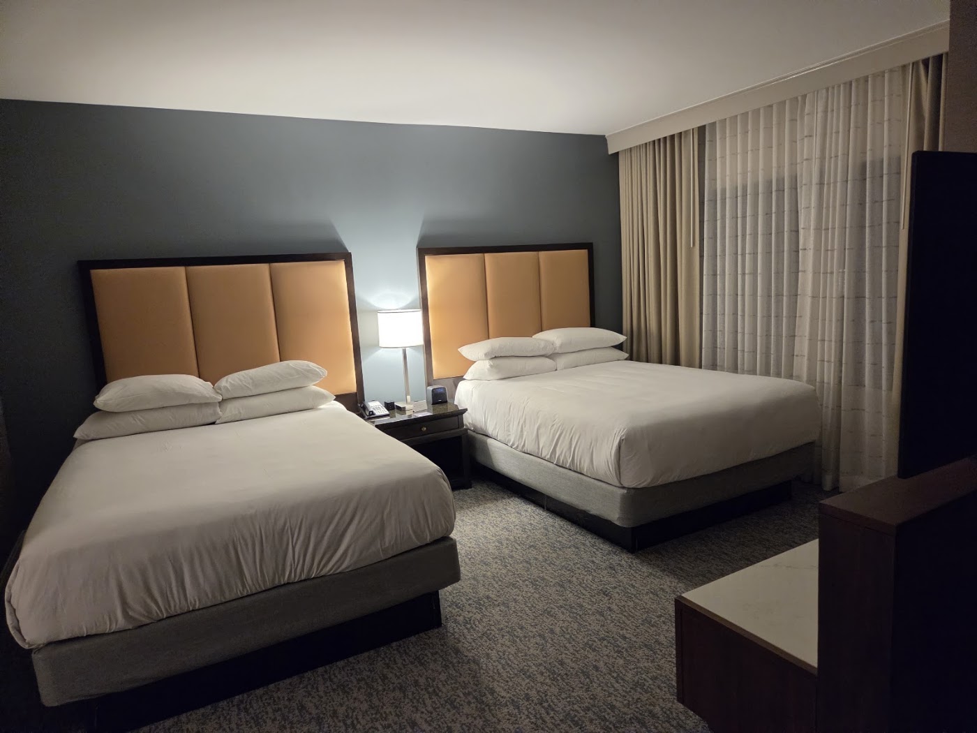 Hyatt Regency Dallas, dog-friendly hotel, photo 3