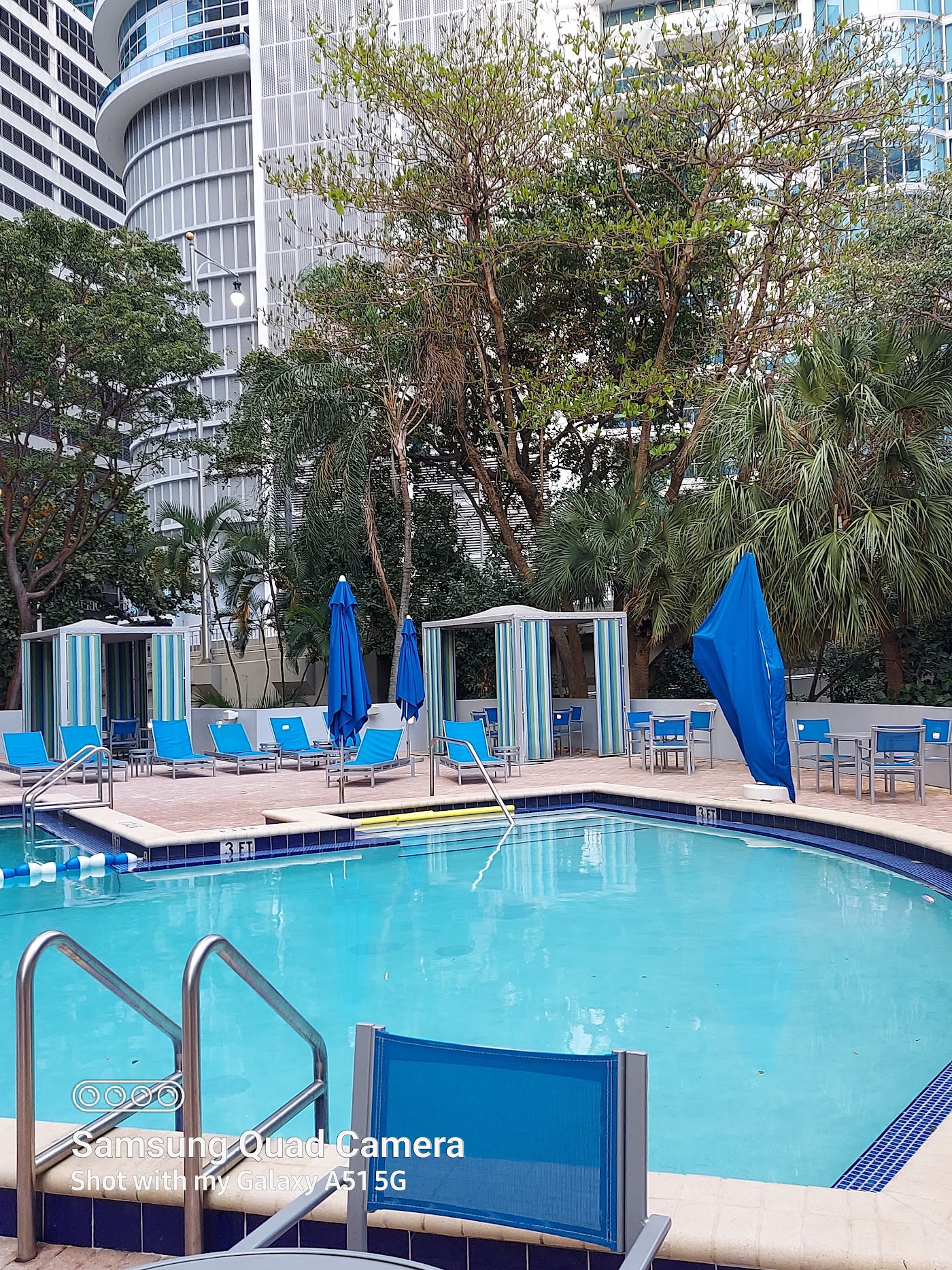 Hyatt Regency Miami, dog-friendly hotel, photo 4