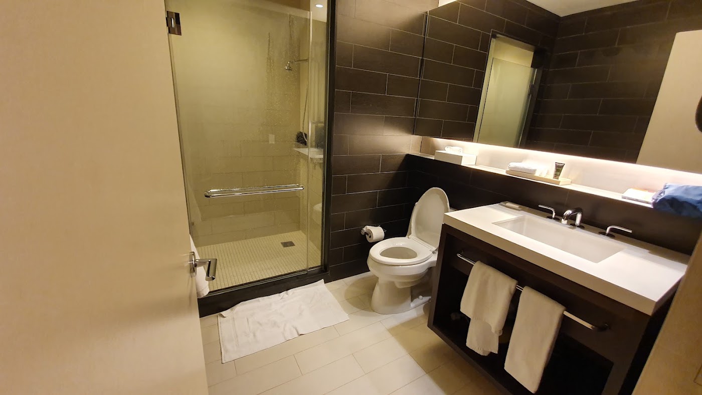 Hyatt Regency Times Square, dog-friendly hotel, photo 4